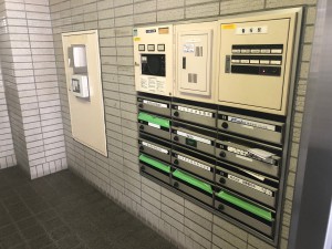 IMG_1570